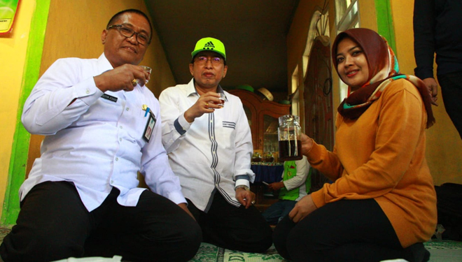 Kebun-Kopi-3.jpg