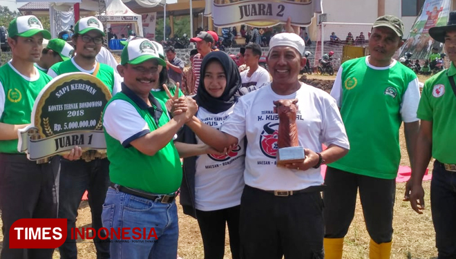 kontes-sapi-ternak-4.jpg