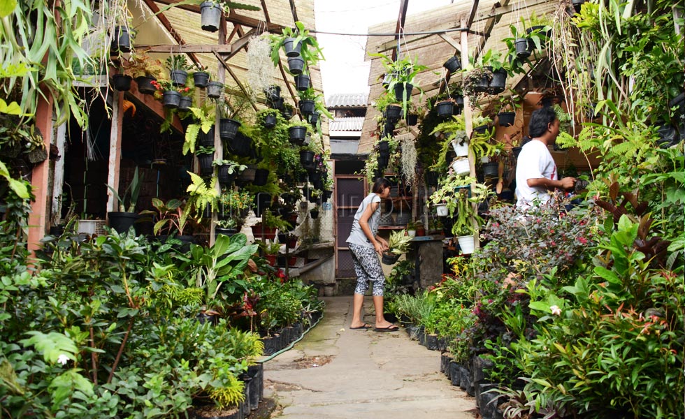 Pedagang menata bunga yang ada di kios di Pasar Splendid, Kota Malang. (FOTO: Adhitya Hendra/TIMES Indonesia)