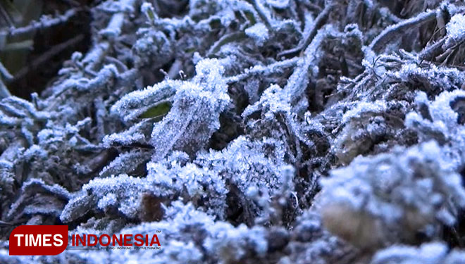 Fenomena-Es-di-Gunung-Bromo-A.jpg