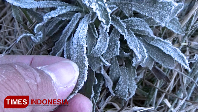 Fenomena-Es-di-Gunung-Bromo-C.jpg