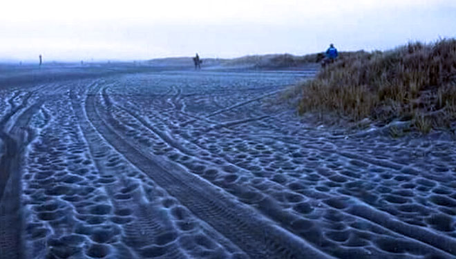 Kristal Es (Frost) menyelimuti lautan pasir Gunung Bromo, Kabupaten Probolinggo, Jawa Timur.(FOTO: Istimewa)