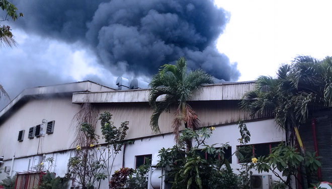 Pabrik manufacturing di bidang printing dan Packaging, PT Lawangmas Primapack terbakar. Api berhasil dikuasai petugas pemadam kebakaran selama tiga jam setelah berjibaku. (FOTO: Istimewa)