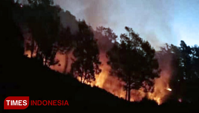 Area Gunung Buthak, kawasan Pegunungan Panderman Jumat (17/8/2018) terbakar dan hingga saat ini masih belum bisa dilakukan upaya pemadaman. (FOTO: Pusdalop PB BPBD Kota Batu/TIMES Indonesia)