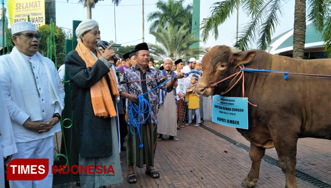 Penyerahan bantuan hewan kurban dari Pemkab Jember ke Masjid Al Baitul Amien. (FOTO: Sofy/TIMES Indonesia)