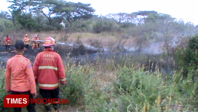 Kebakaran terjadi di lahan gambut di Perumahan Mandiri Land. (FOTO: Sofy/TIMES Indonesia)