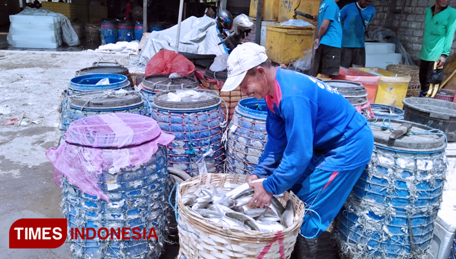 Pasokan Minim Harga Ikan Tawar Melambung Times Indonesia