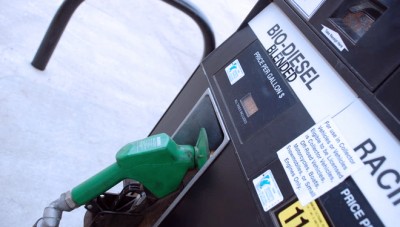 The Government obligates the Use of Biodiesel to Replace Diesel Fuel