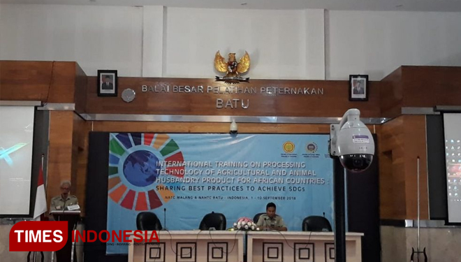 (FOTO: AJP/TIMES Indonesia)