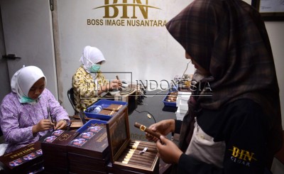 Mengenal Cerutu Kelas Dunia dari Jember