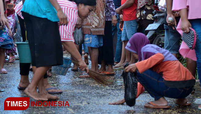 Warga saat memungut gabah usai ritual Keboan, Desa Aliyan, Rogojampi. (FOTO: Erwin Wahyudi/TIMES Indonesia)