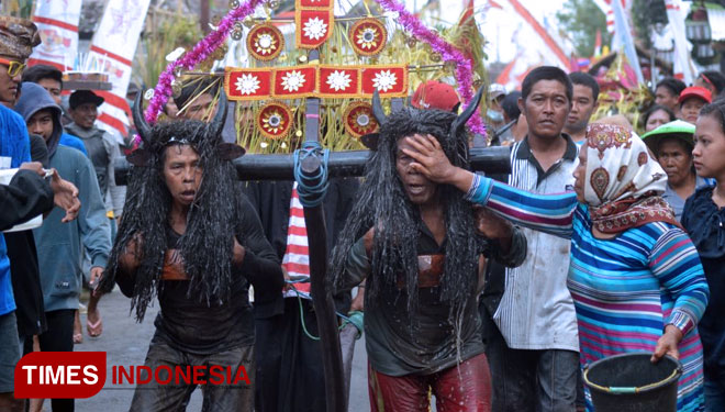 Prosesi ritual adat 'Keboan' Desa Alian Kecamatan Rogojampi, Banyuwangi. (FOTO: Erwin Wahyudi/TIMES Indonesia)