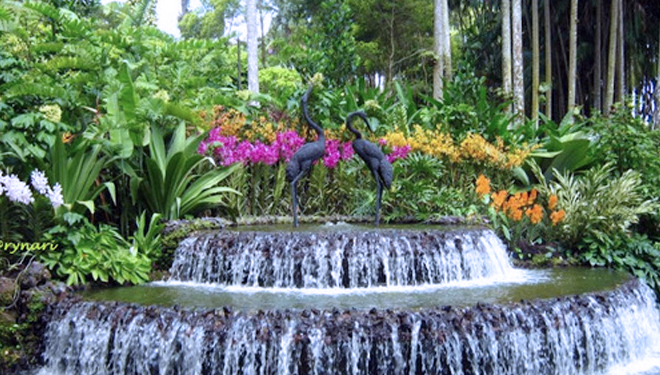 Taman-Anggrek-Sri-Soedewi.jpg