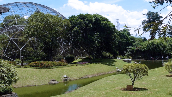 Taman-Rimba-Jambi.jpg