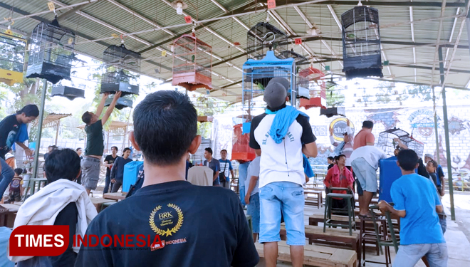 Panitia lomba kicau burung (mengenakan kaos berlogo BRK dan TIMES Indonesia) sedang melakukan penjurian (FOTO: Moh Bahri/TIMES Indonesia)