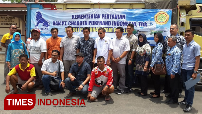 Kementerian Pertanian RI dan Charoen Pokphand menggelontorkan 50 ton jagung untuk peternak ayam petelur di Kabupaten Blitar (Foto: istimewa)
