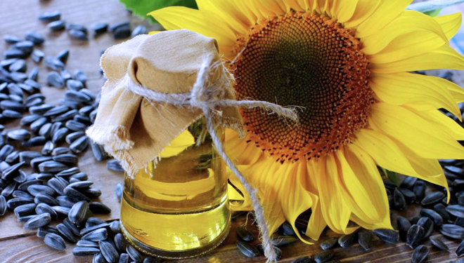 Sunflower Seeds. (PHOTO: tripoli.land)