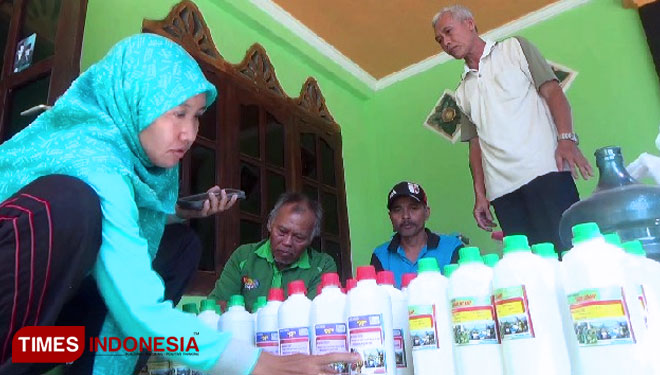 Para petani tunjukkan produksi obat alami pembasmi hama (FOTO: CAS/TIMES Indonesia)