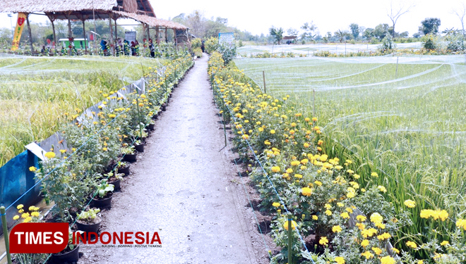 Desa Wisata Agro Lamongan