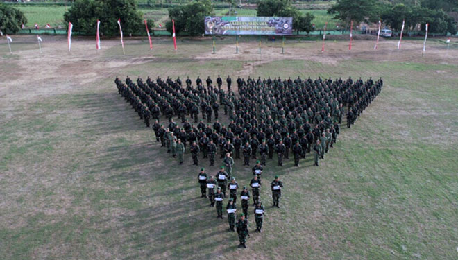 TNI-AD-dan-SAF.jpg