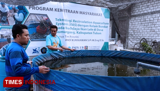 Tim PKM UB melakukan pemantauan budidaya ikan Lele dengan teknologi RAS. (FOTO: AJP/TIMES Indonesia)