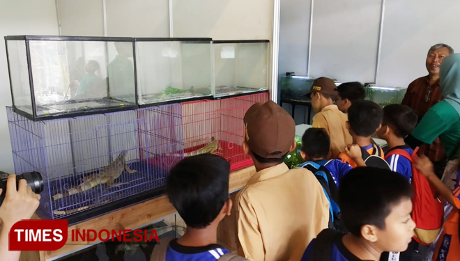 Sejumlah anak melihat ikan predator yang dipamerkan dalam Versi Feat UB. (FOTO: Imadudin M/Times Indonesia)