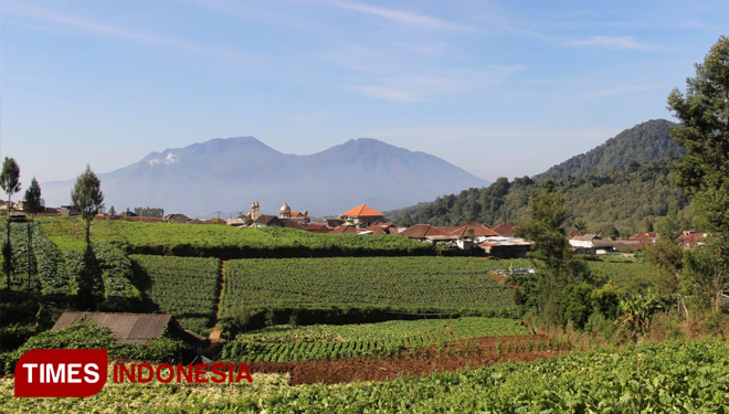 Membakar Kentang Bareng di Festival Kaki Langit, Yuk Ikut!