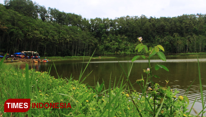 wisata-di-Ranu-Merah3.jpg