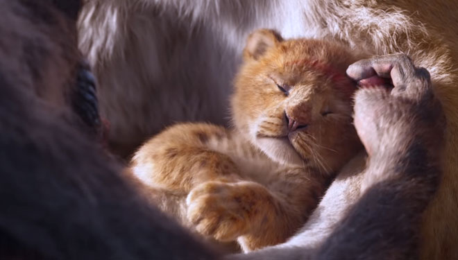 Sehari Pasca Dirilis, Trailer