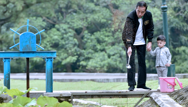Jalan Pagi di Istana Bogor, Presiden Jokowi dan Keluarga Tunjukkan Momen Kehangatan