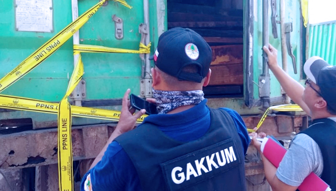 KLHK Gagalkan Selundupan Kayu Ilegal Senilai Rp 12 Miliar