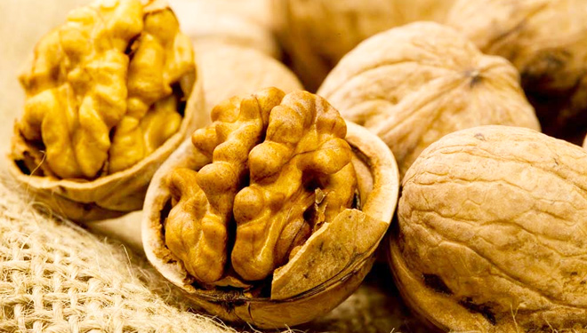 Kacang walnut. (FOTO: Artikel)