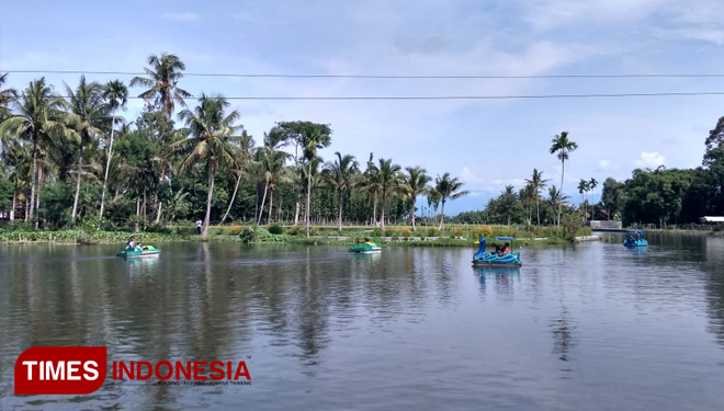 Para pengunjung desa wisata Almour atau Rawa Indah Alas Sumur Kecamatan Pujer Kabupaten Bondowoso, Provinsi Jawa Timur,  sedang menikmati wahana sepeda bebek air (FOTO: Moh Bahri/TIMES Indonesia) 