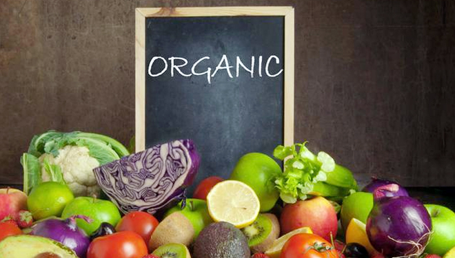 Makanan Organik (FOTO: Klikdokter)