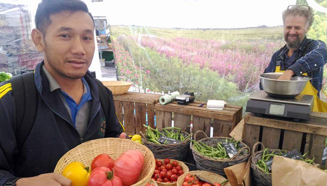 Petani Inspiratif Ini Hasilkan Kentang Warna Warni  TIMES 