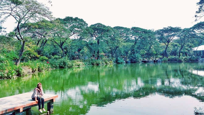 Kebun-Bibit-Wonorejo.jpg