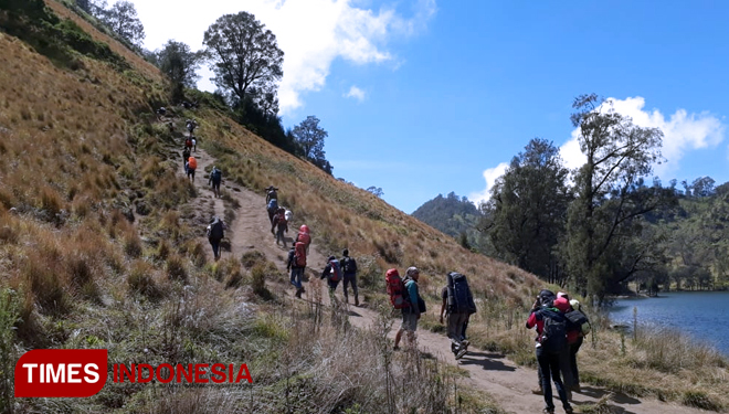 Several hikers walk on their track for summit at Mount Semeru. (Photo: Doc. TIMES Indonesia)