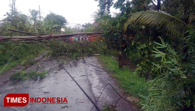 Kondisi tiang listrik yang tumbang akibat diterjang hujan dan disertai angin kencang. (FOTO: PMI Kabupaten Malang for TIMES Indonesia )
