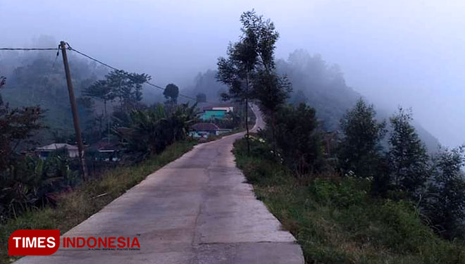 Akses jalan Sukapura-Sariwani-Wonokerso yang menghubungkan Wisata Gunung Bromo dengan Negeri di Atas Awan (foto: Iqbal/TIMES Indonesia)