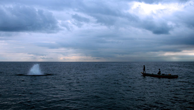 pemboman Ikan (Foto: Istimewa)