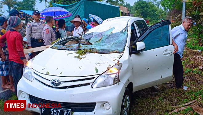 Rombongan Mobil Karyawan Bank BPR Ady Banyuwangi Tertimpa Pohon Tumbang