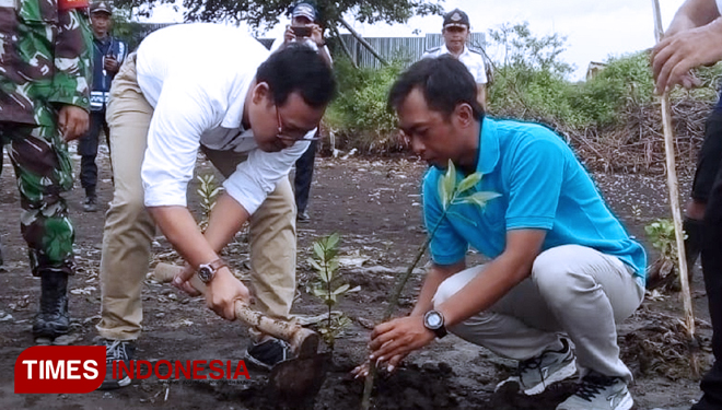 Manajer Pemasaran dan Pengembangan Bisnis PT PPI, Mahde Kumar (kaos putih) saat melakukan penanaman 2000 bibit mangrove di Marina Boom Banyuwangi. (FOTO: Syamsul Arifin/ TIMES Indonesia)