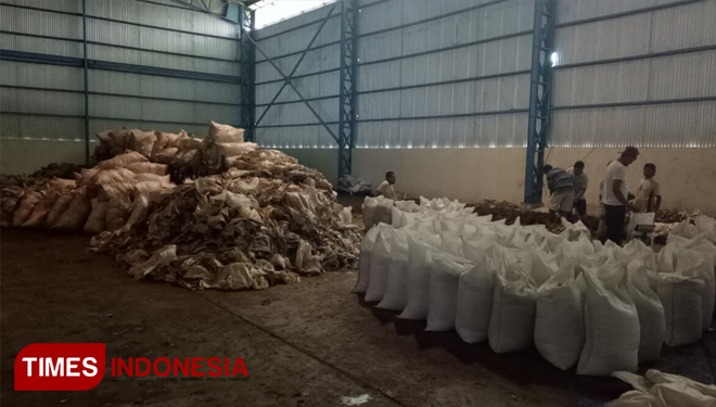 Proses Lelang Gula Scrab Basah Pabrik Gula Glenmore Diduga Bermasalah