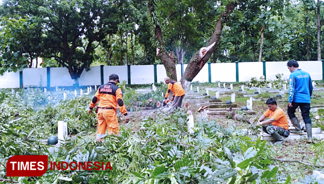 Petugas BPBD Kabupaten Malang dan Tagana Kabupaten Malang saat memangkas pohon di Taman Makam Pahlawan Kepanjen. (FOTO: Binar Gumilang/TIMES Indonesia)