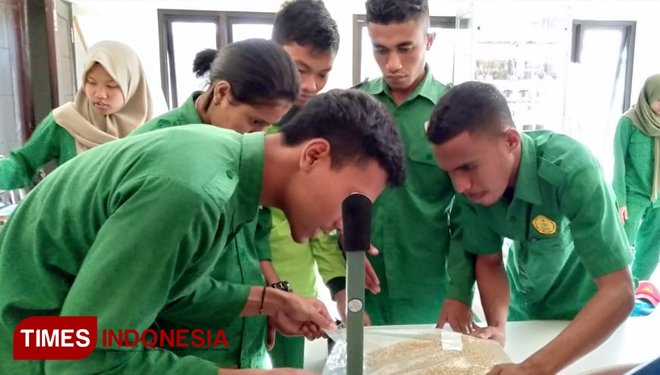 Mahasiswa Polbangtan Malang tengah melakukan praktikum penanganan benih kedelai di Laboratorium Produksi Tanaman, Kamis (24/1/2019). (FOTO: Humas Polbangtan Malang for TIMES Indonesia)