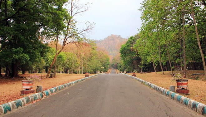 Kebun-Raya-Purwodadi-2b0905f5cbabf3902.jpg
