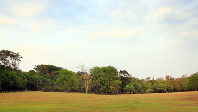 Purwodadi Botanical Garden (PHOTO: indonesiakaya.com)