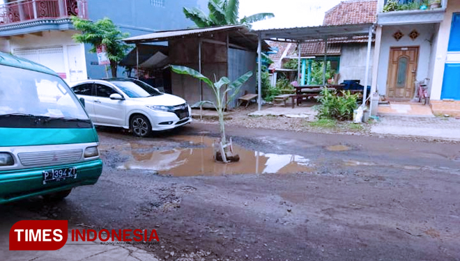Dua Tahun Jalan Berlubang, Warga Menanaminya dengan Pohon Pisang