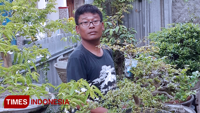 TIMES-Indonesia-Tanaman-Langka-dan-Bonsai.jpg
