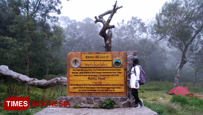 Nikmati Eksotisnya, Sunrise di Ranu Regulo Kaki Semeru